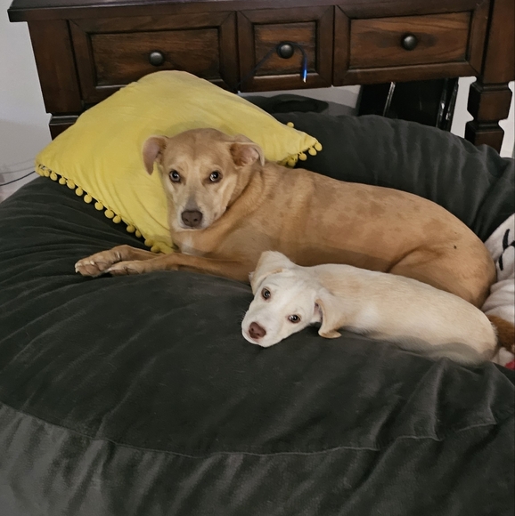 Coffee With Kelley Is Live! Like This To Be Notified When I Go On. - Picture 13 of 15